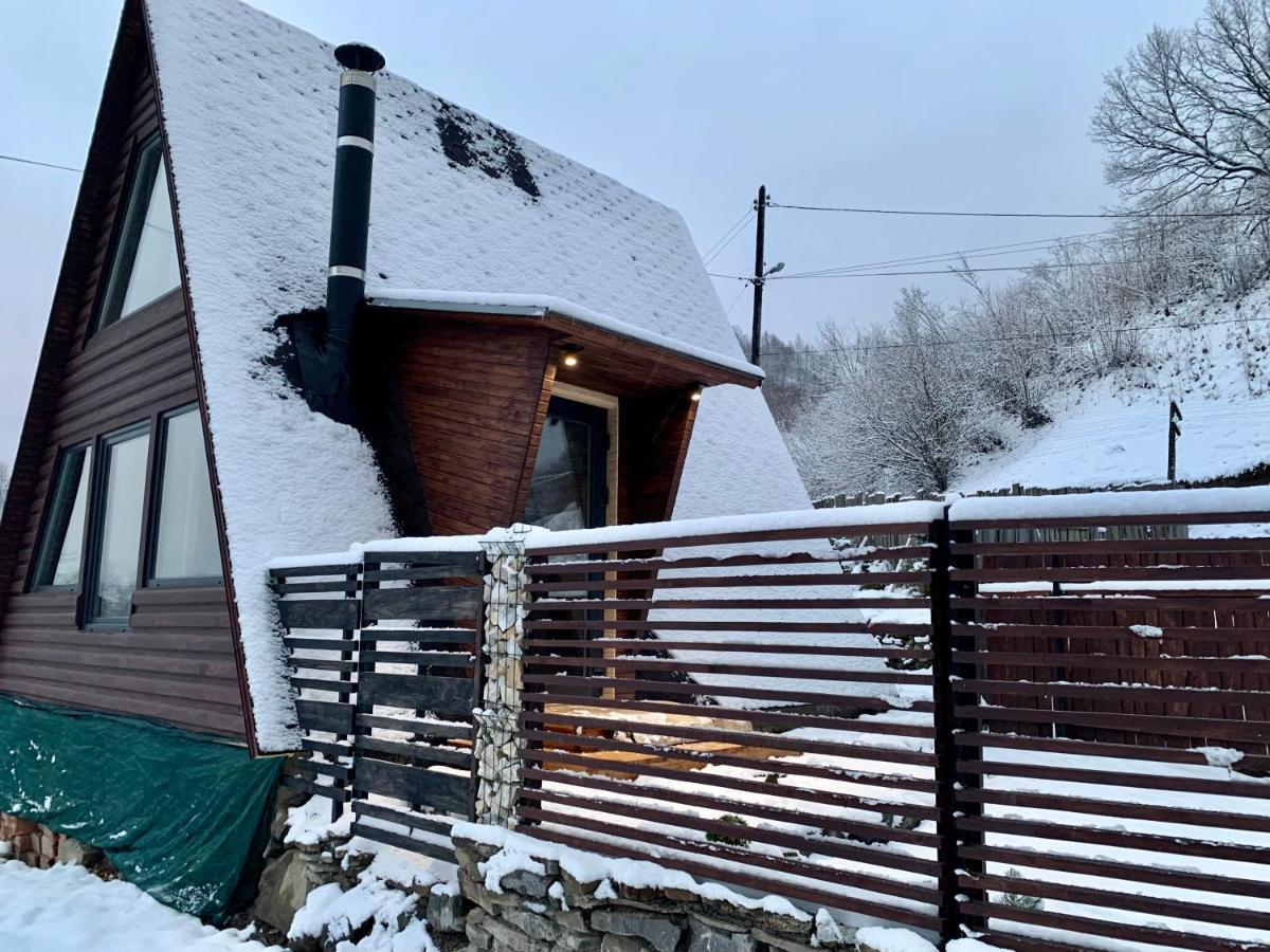 Vip-Domyk Rachiv Exteriör bild