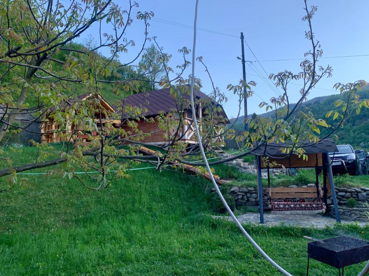 Vip-Domyk Rachiv Exteriör bild