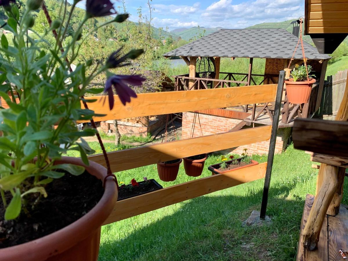 Vip-Domyk Rachiv Exteriör bild